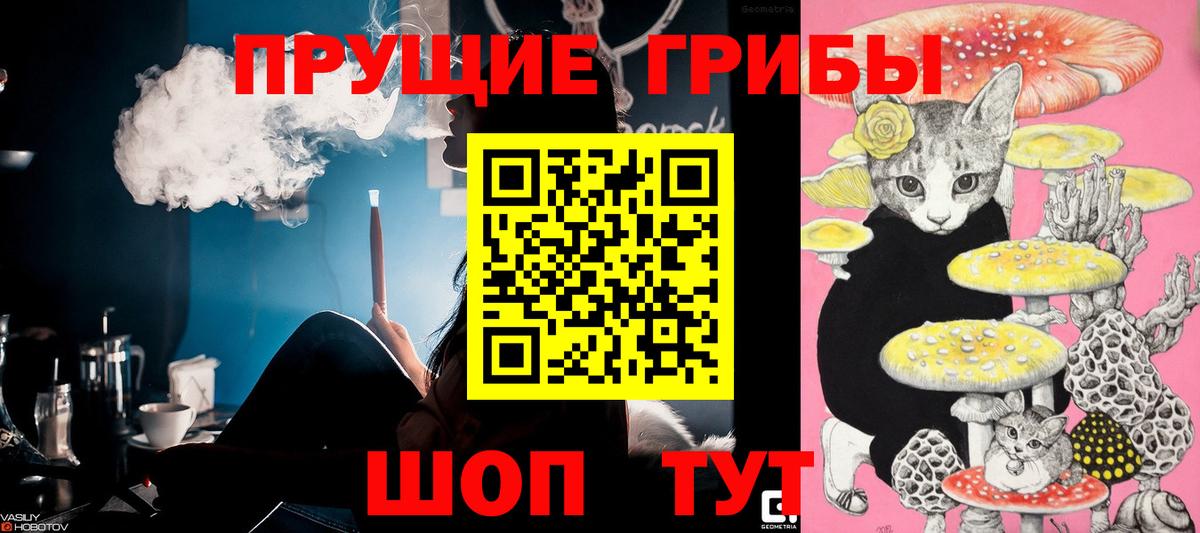 закладки  Псилоцибиновые грибы MAGIC MUSHROOMS  Вход с VPN  Славгород 