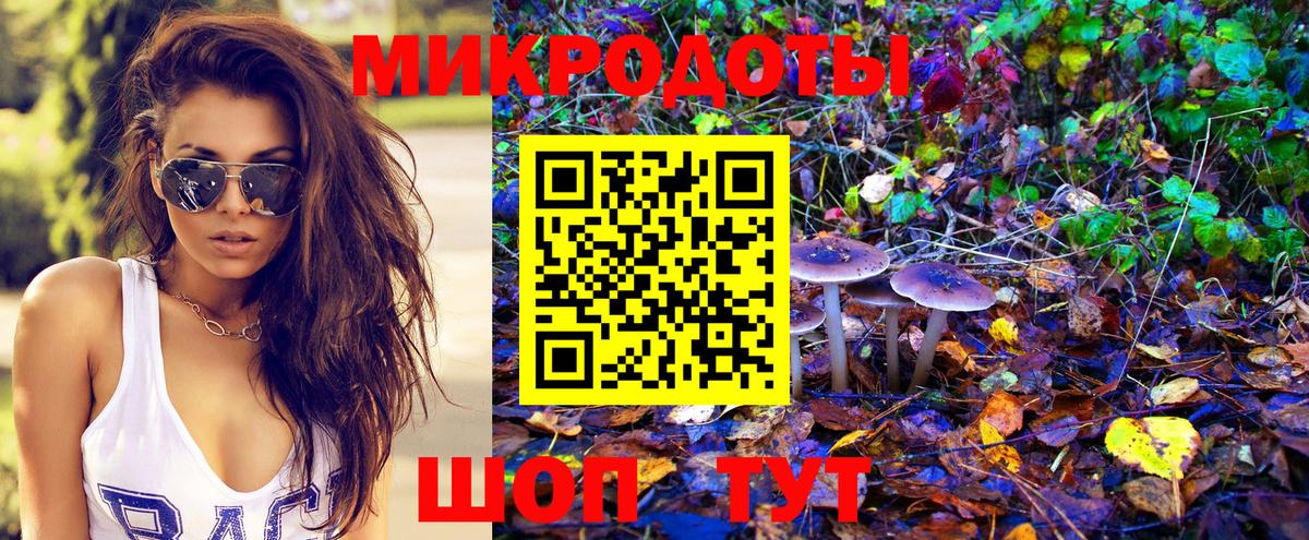 Галлюциногенные грибы мухоморы Славгород